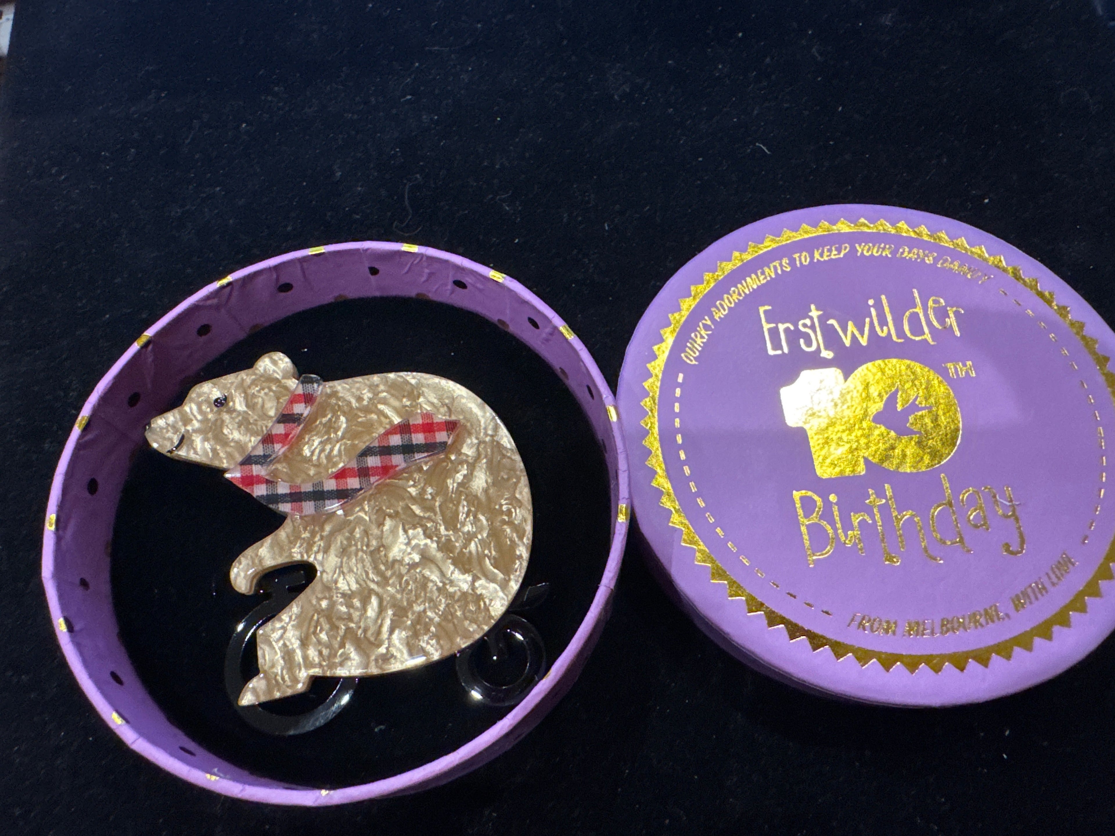ERSTWILDER  10th BIRTHDAY- GROUCHY BEAR - RESIN BROOCH RETIRED