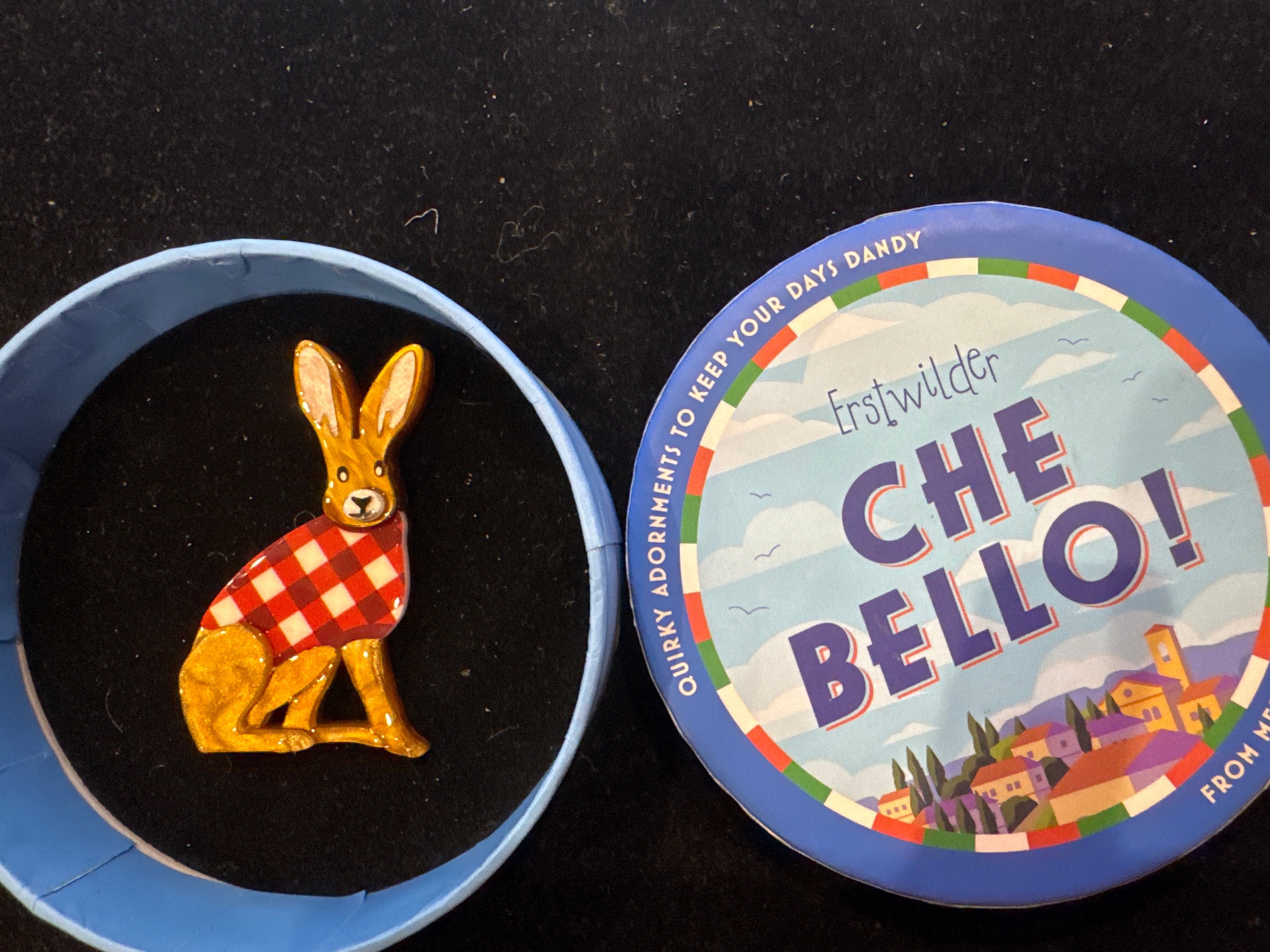 ERSTWILDER CHE BELLO!  - A HARE'S BREADTH -RESIN BROOCH