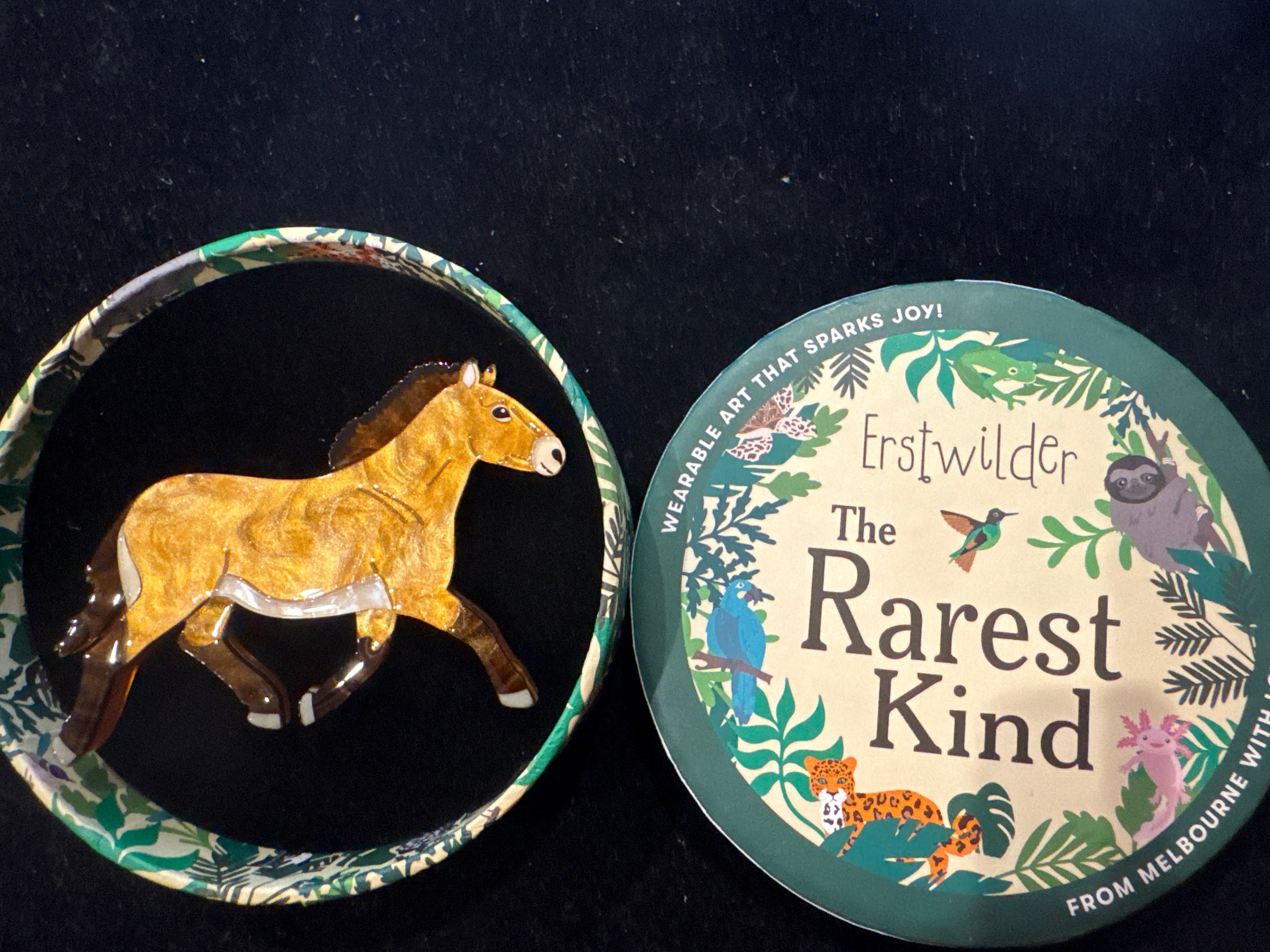 ERSTWILDER THE RAREST KIND -TAKHI WILD HORSE - RESIN BROOCH