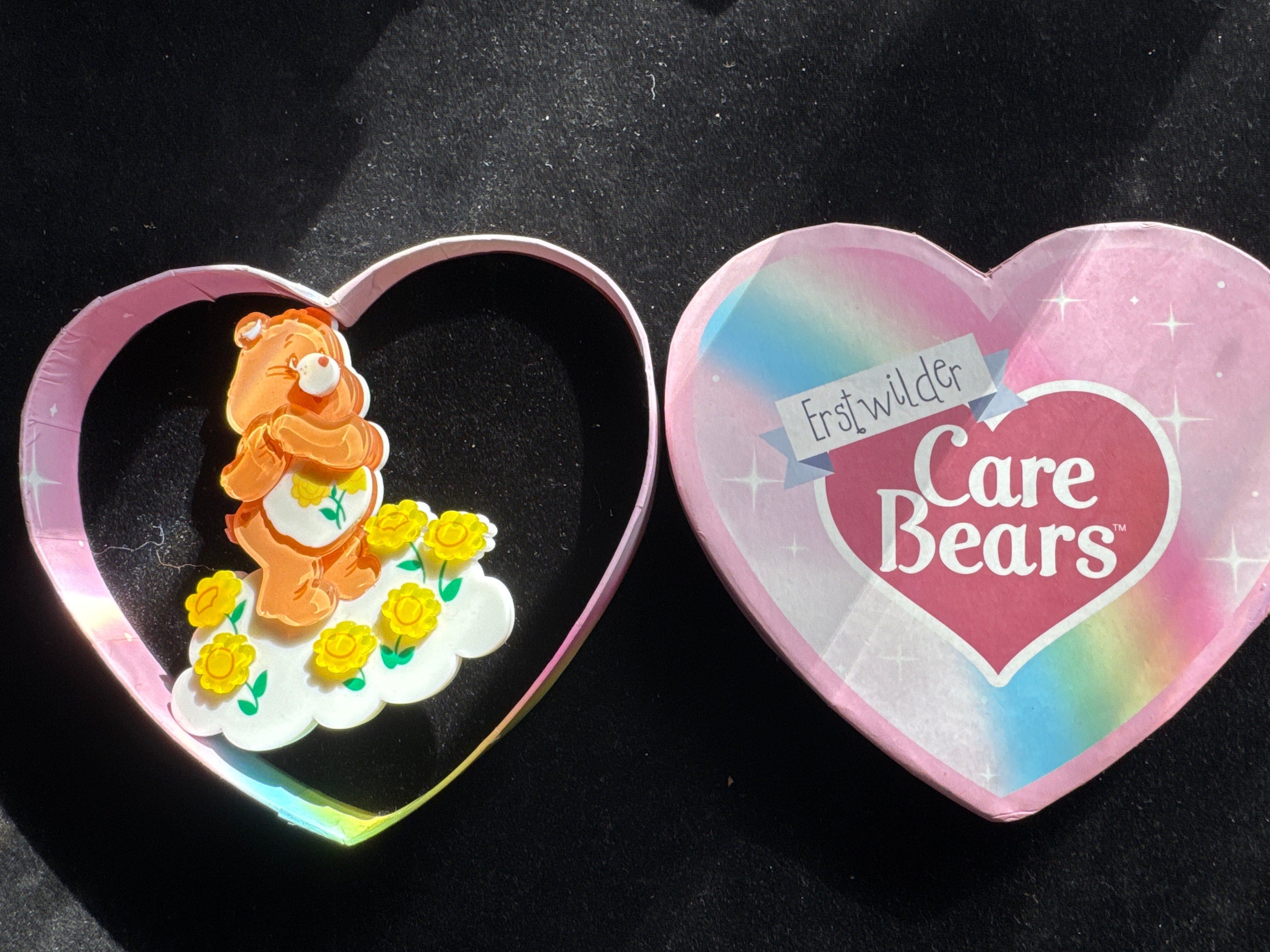 ERSTWILDER  CARE BEARS -FEELING FRIENDLY -RESIN BROOCH