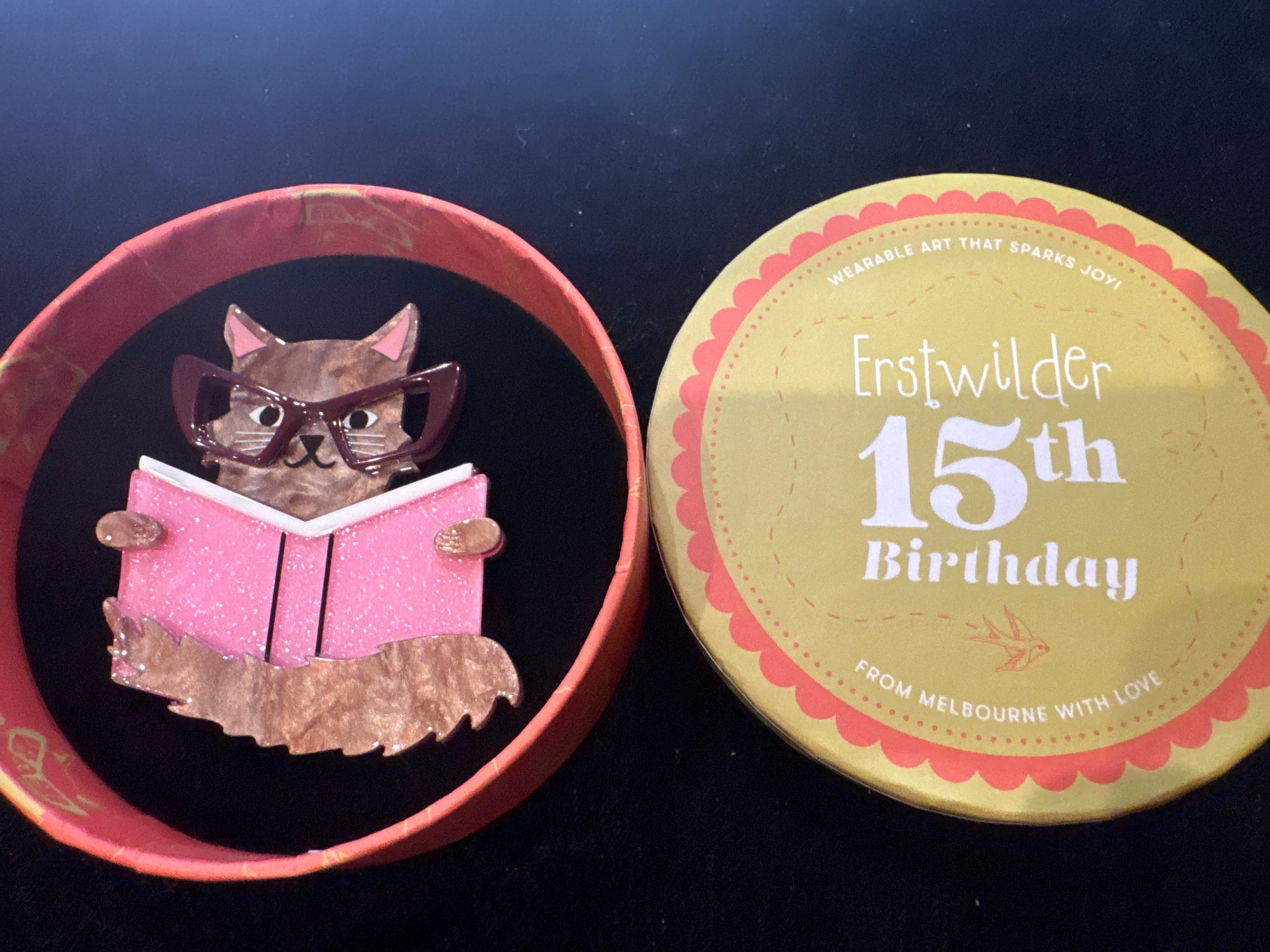 ERSTWILDER 15th BIRTHDAY - PUSS IN BOOKS- RESIN BROOCH