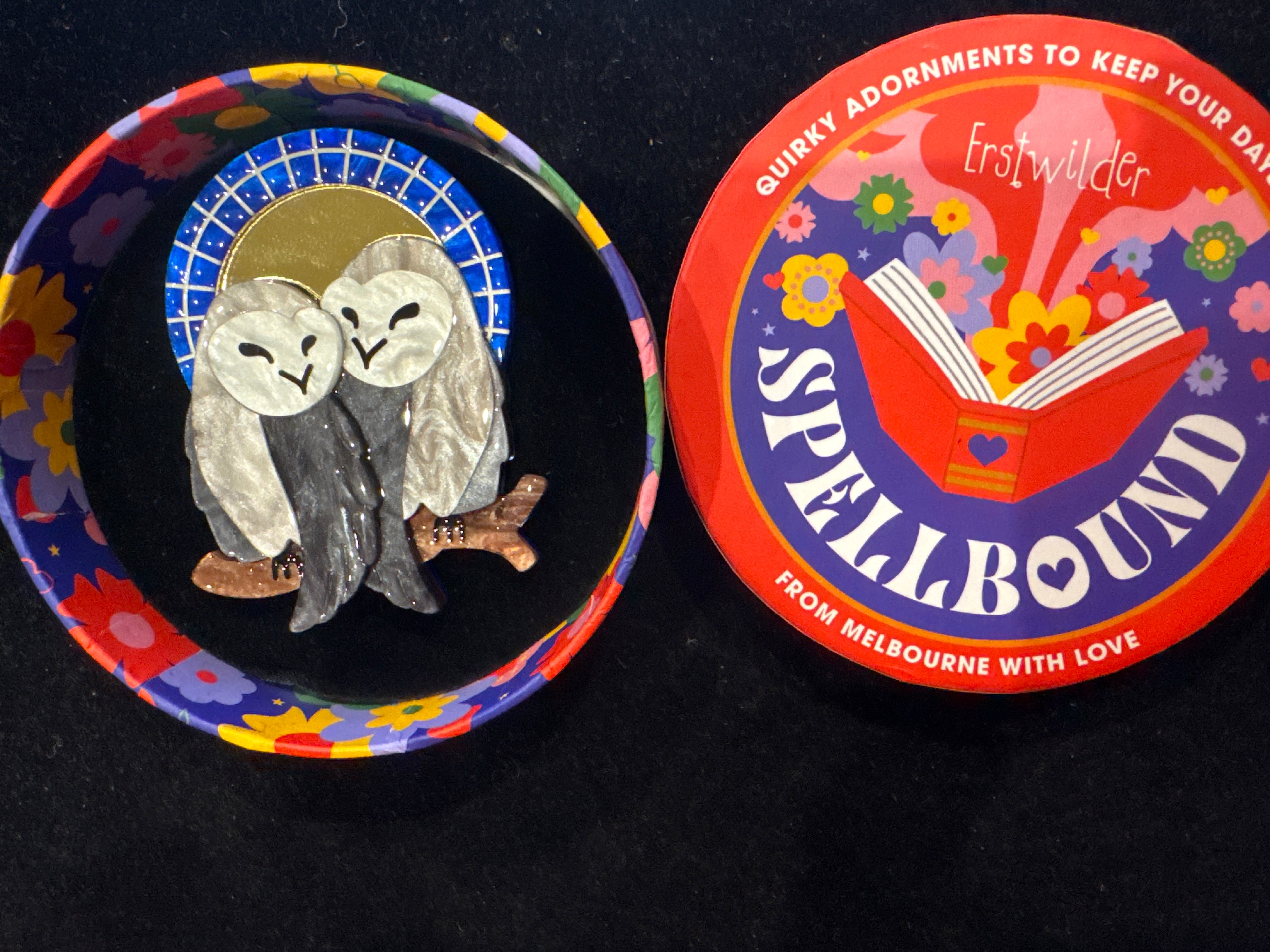 ERSTWILDER SPELLBOUND- GOOD OMENS OWLS - RESIN BROOCH RETIRED