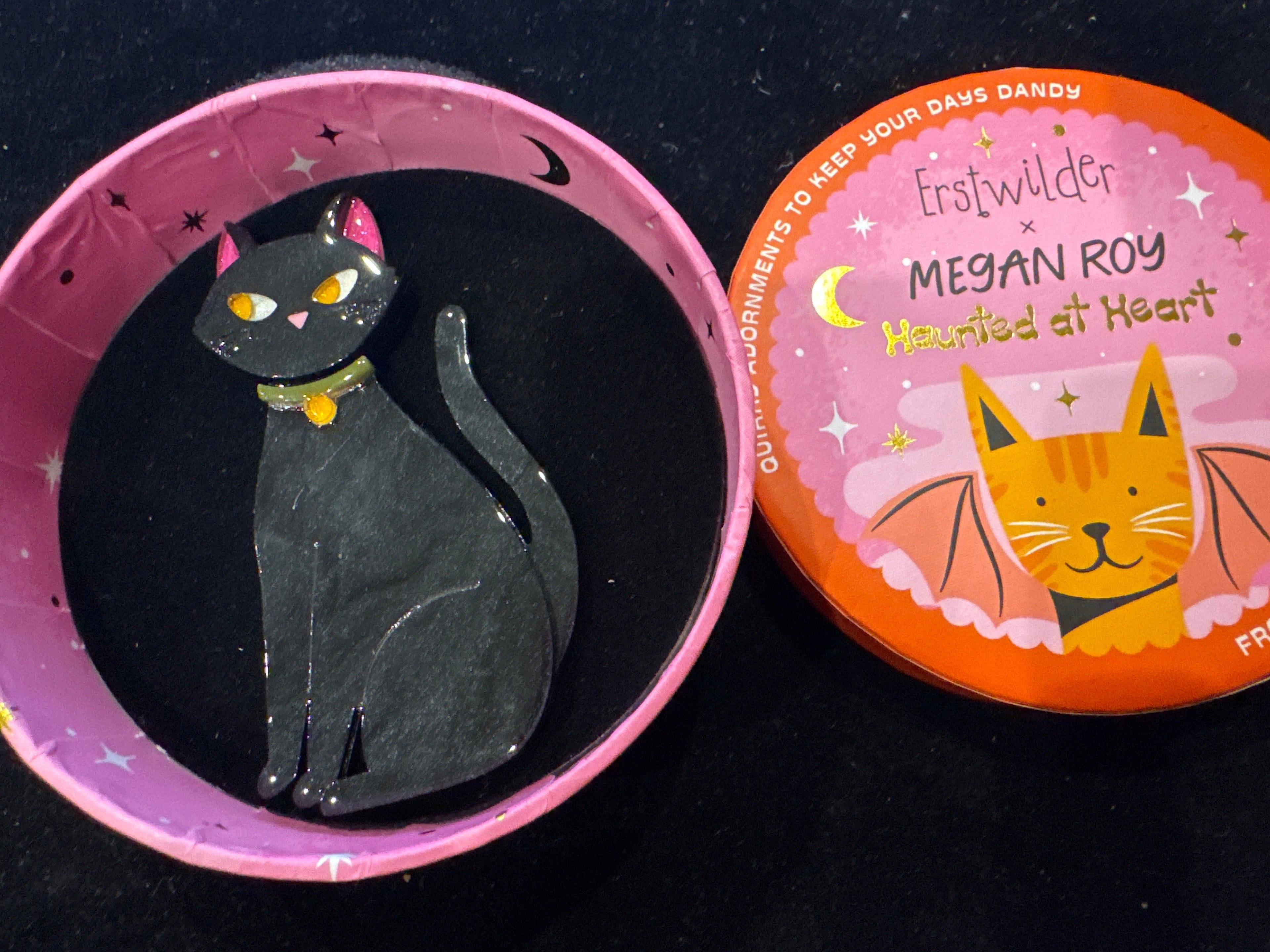 ERSTWILDER MEGAN ROY HAUNTED AT HEART-BAD LUCK CHARM- RESIN BROOCH