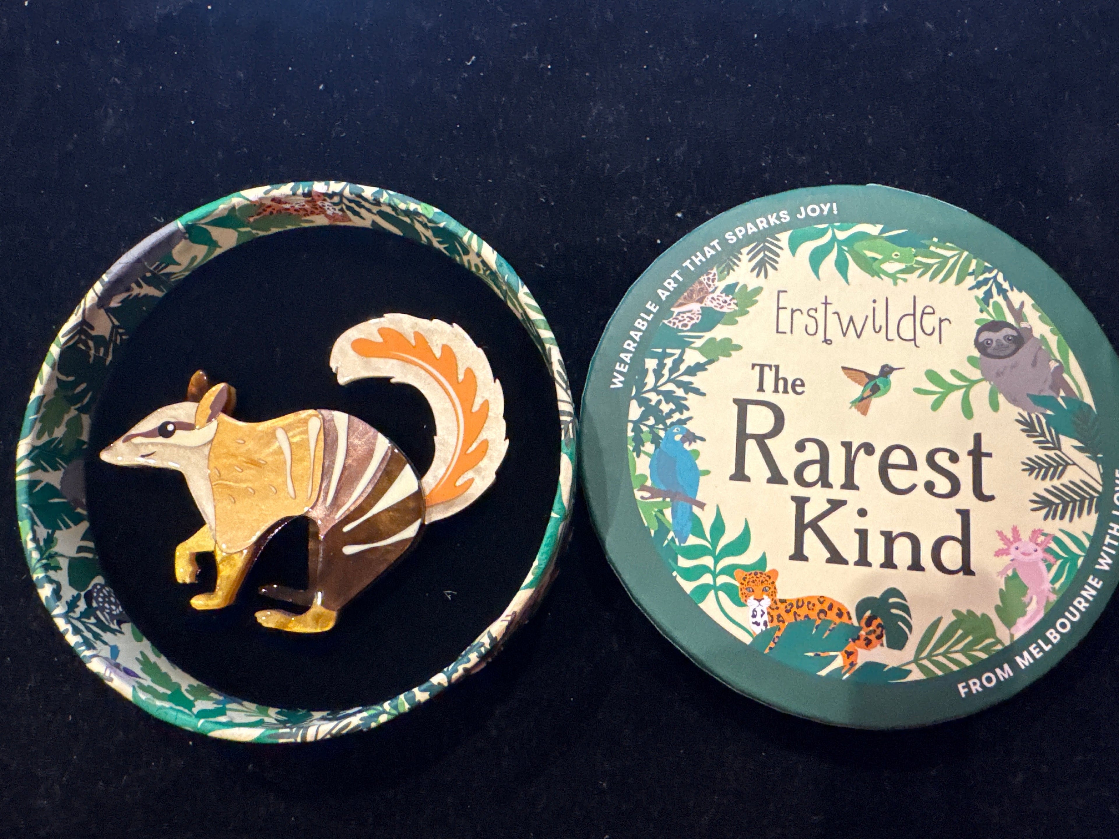 ERSTWILDER THE RAREST KIND - NUMBAT - RESIN BROOCH