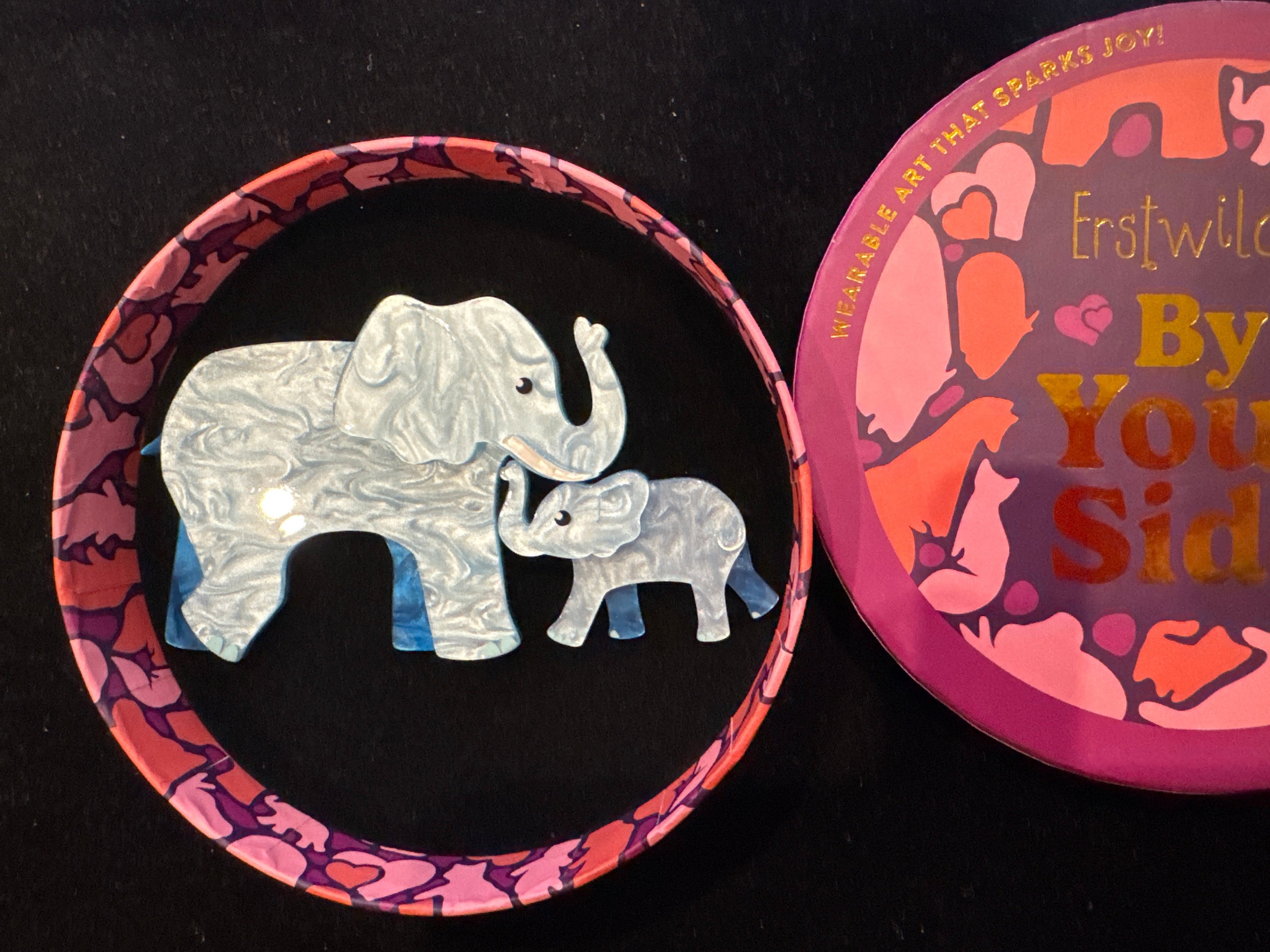 ERSTWILDER BY YOUR SIDE -MEMORY OF US- RESIN BROOCH