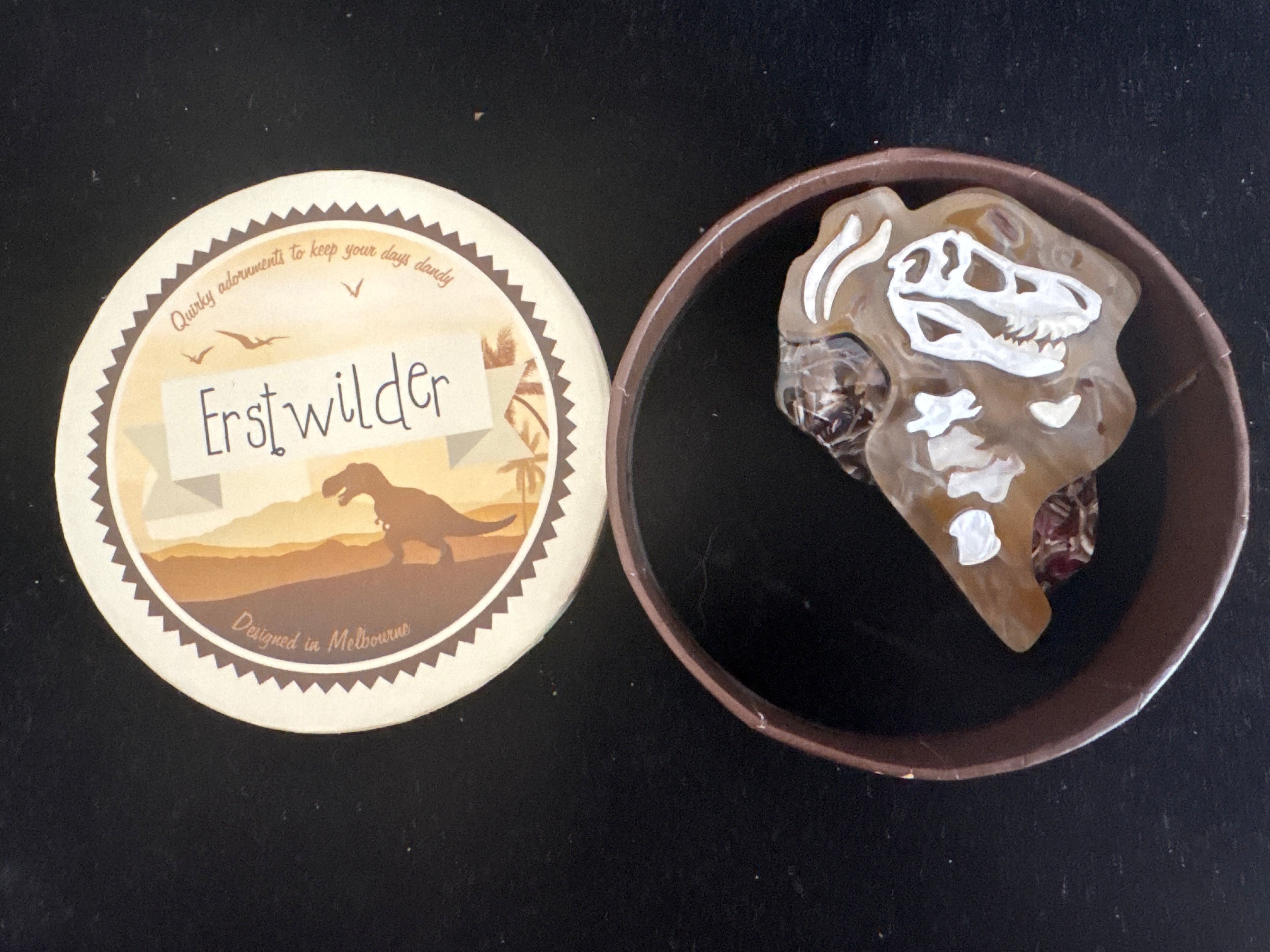 ERSTWILDER DINOSAUR-SEDIMENTAL KEEPSAKE-RESIN BROOCH