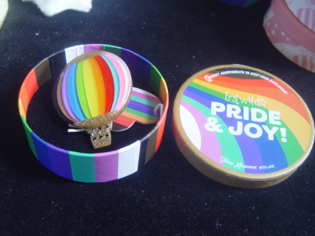 ERSTWILDER PRIDE & JOY- INCLUSION AROUND THE WORLD- RESIN BROOCH
