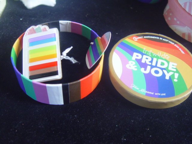 ERSTWILDER PRIDE & JOY- SLICE OF PRIDE - RESIN BROOCH