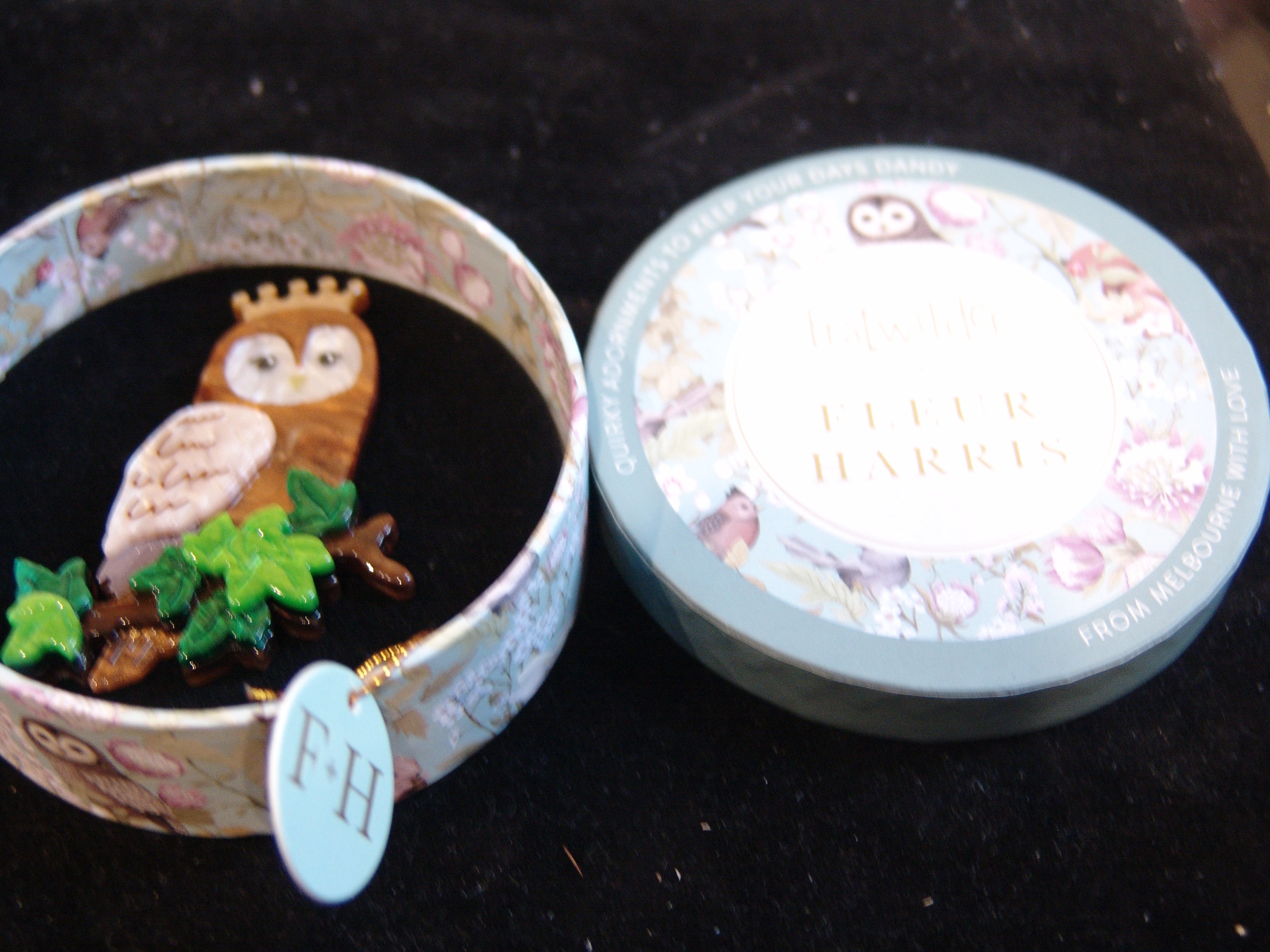 ERSTWILDER  FLEUR HARRIS - REGAL WOODLAND OWL- RESIN BROOCH