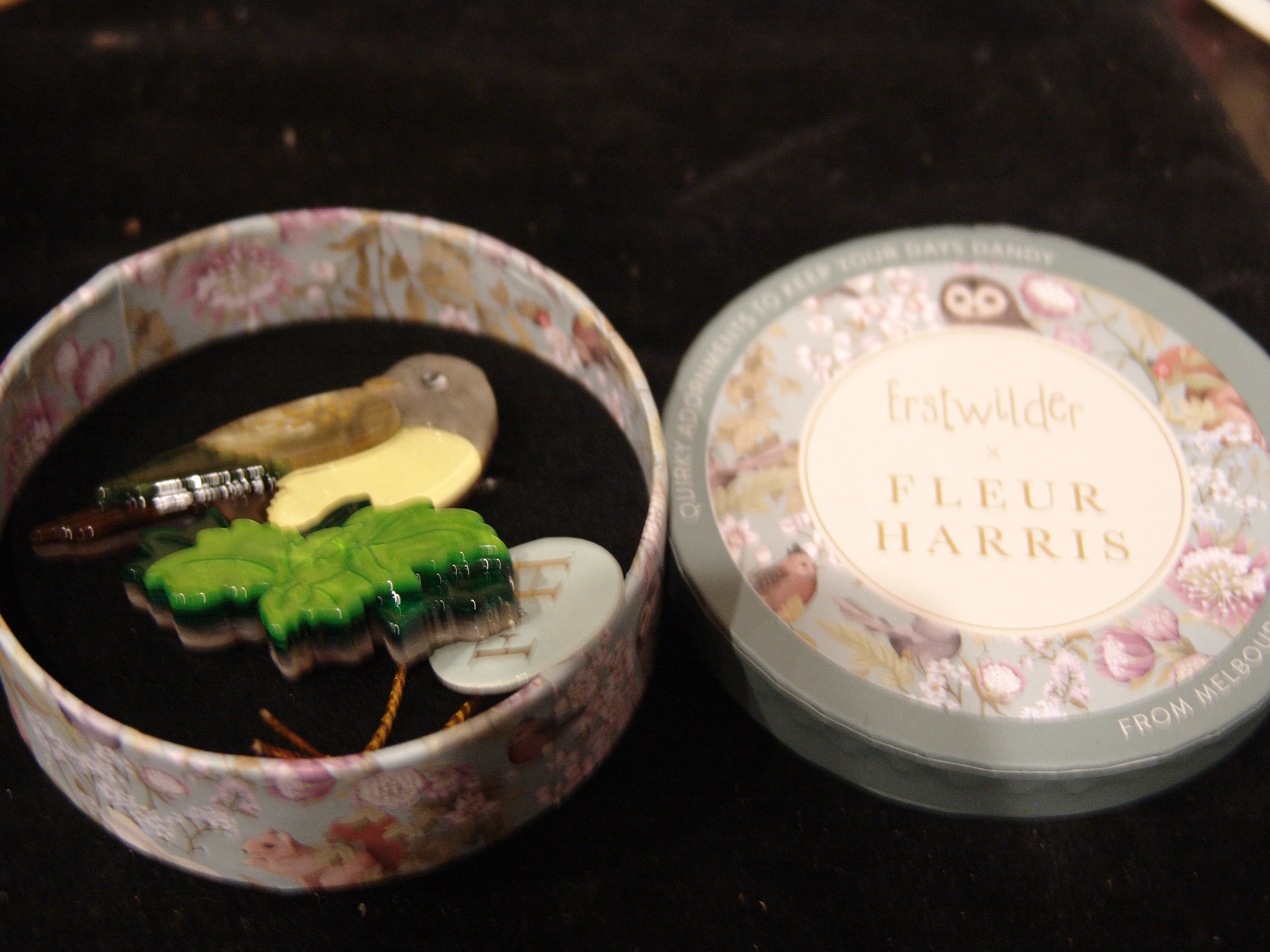 ERSTWILDER  FLEUR HARRIS - WONDROUS WARBLER- RESIN BROOCH