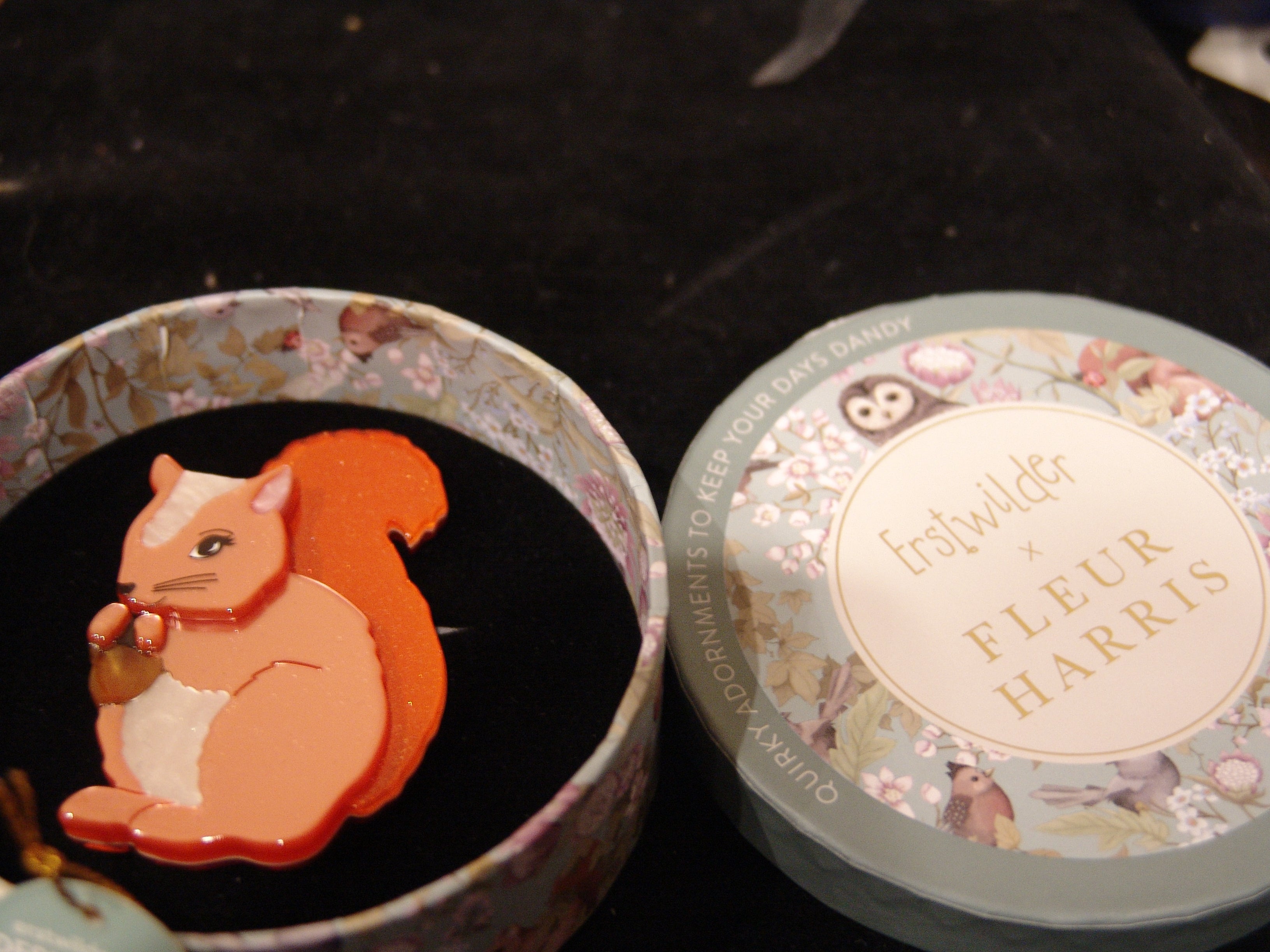 ERSTWILDER  FLEUR HARRIS - CHEEKY SQUIRREL- RESIN BROOCH