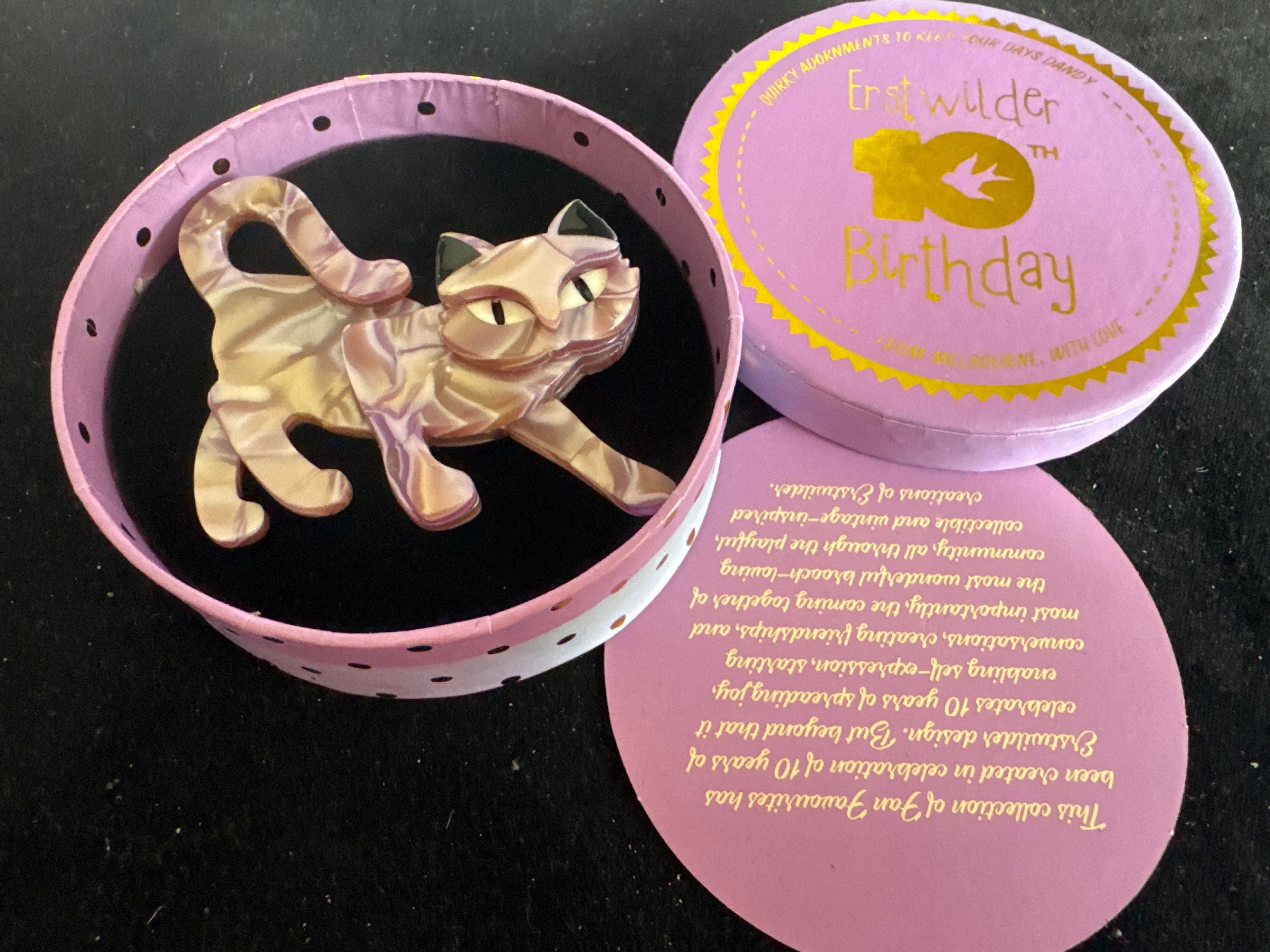 ERSTWILDER  10th BIRTHDAY- TAMING TAMARA - RESIN BROOCH RETIRED