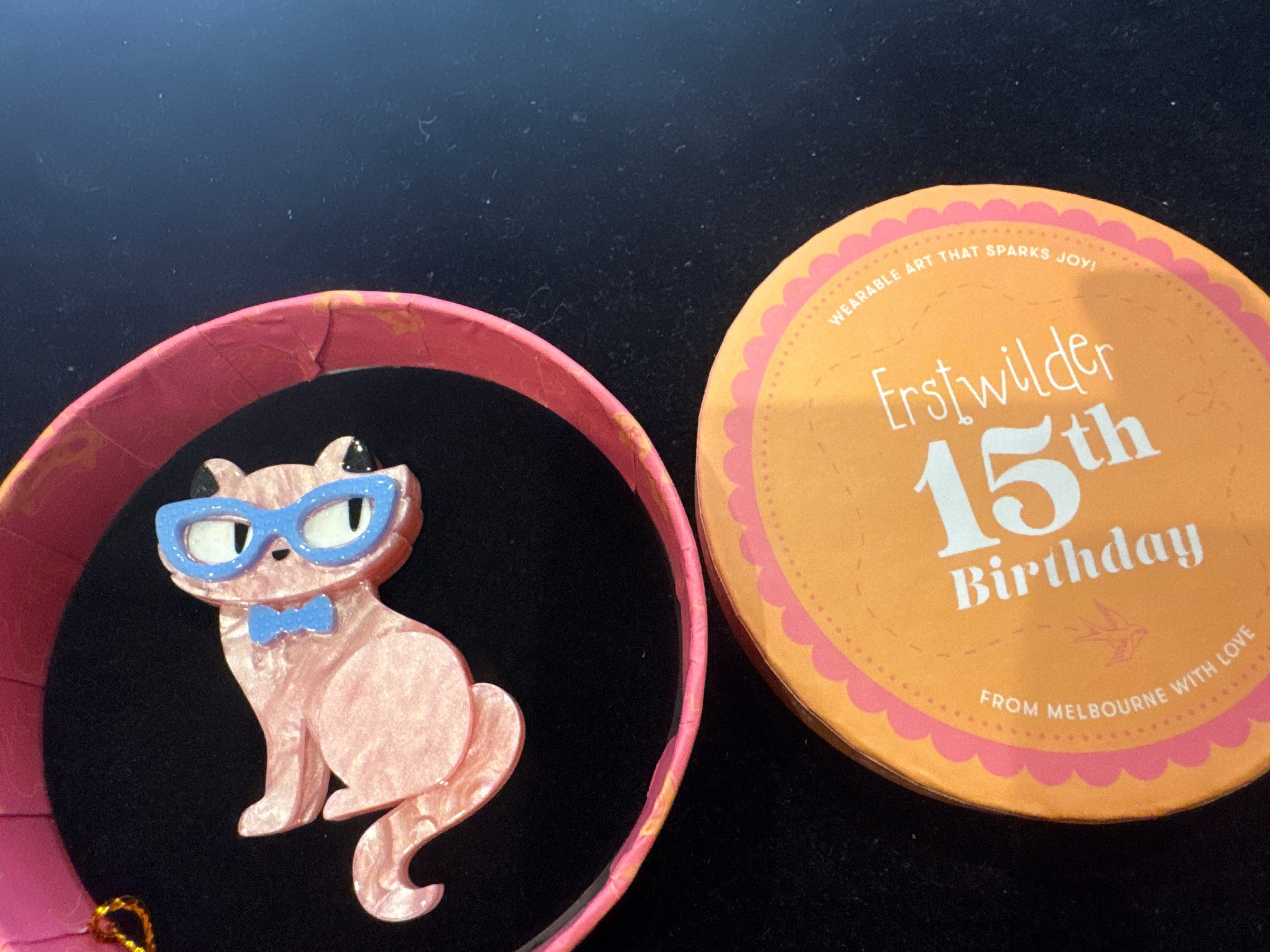 ERSTWILDER 15th BIRTHDAY - ELISSA THE INDIE CAT - RESIN BROOCH