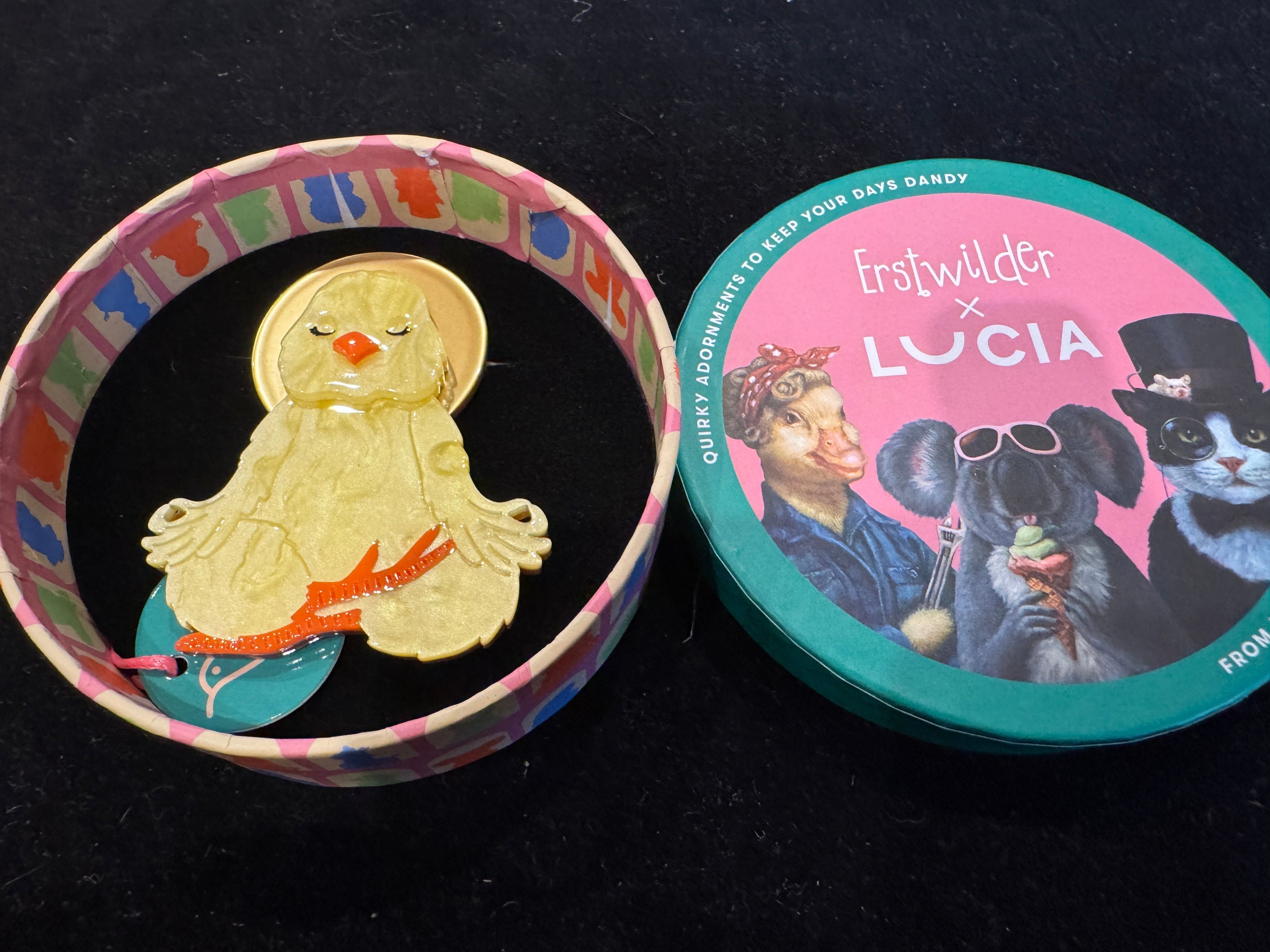 ERSTWILDER LUCIA - THE YOGA CHICK- Resin Brooch