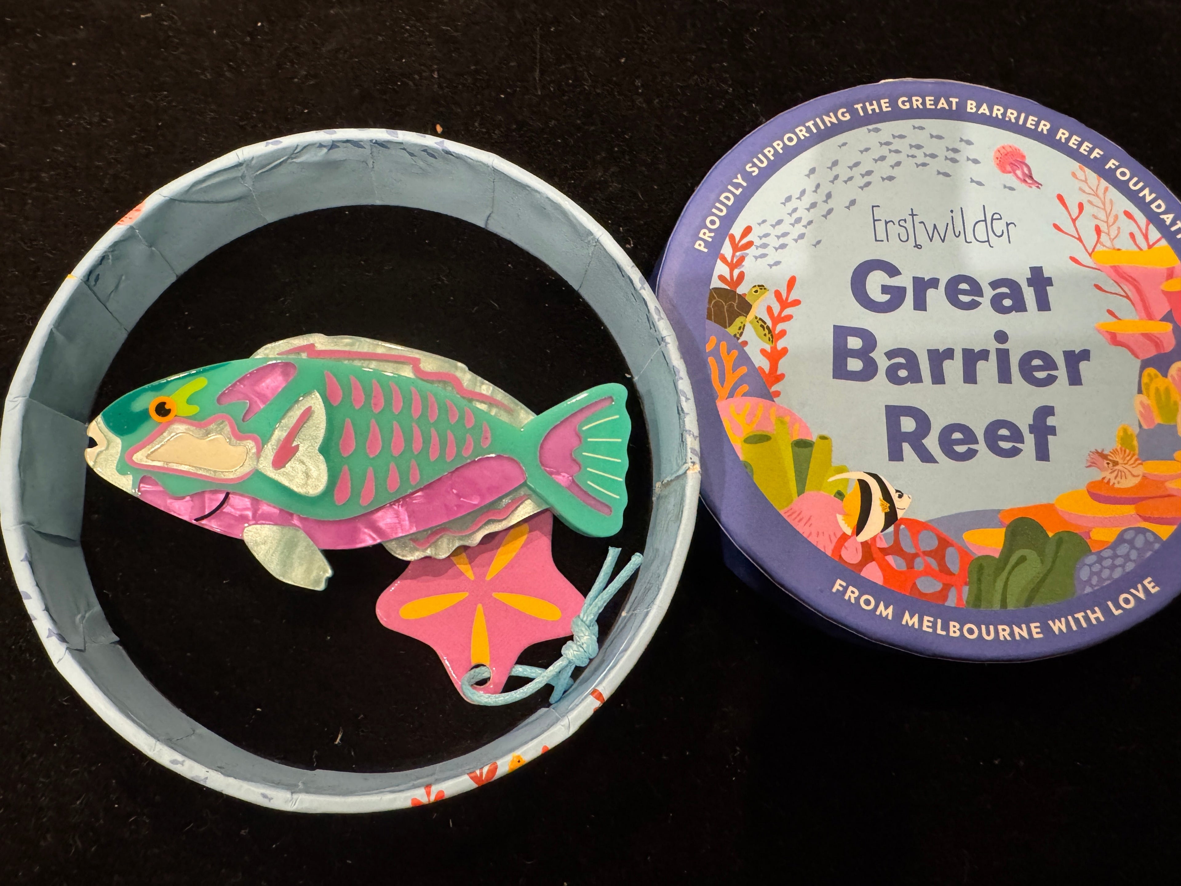 ERSTWILDER GREAT BARRIER REEF - BLEEKER'S PARROTFISH - Resin Brooch