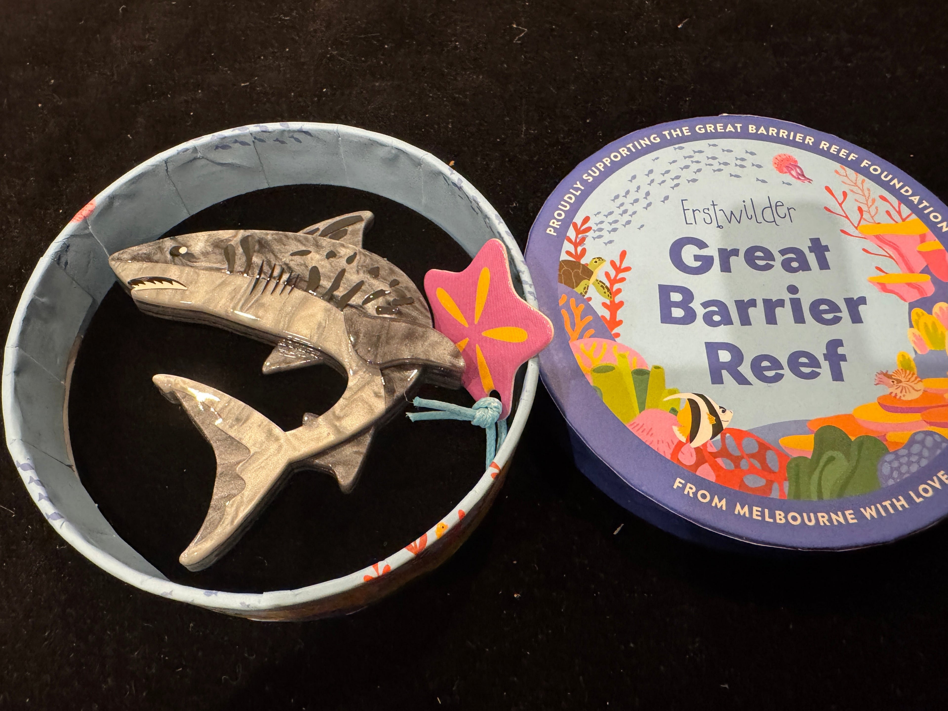 ERSTWILDER GREAT BARRIER REEF -GREEN TURTLE- Resin Brooch