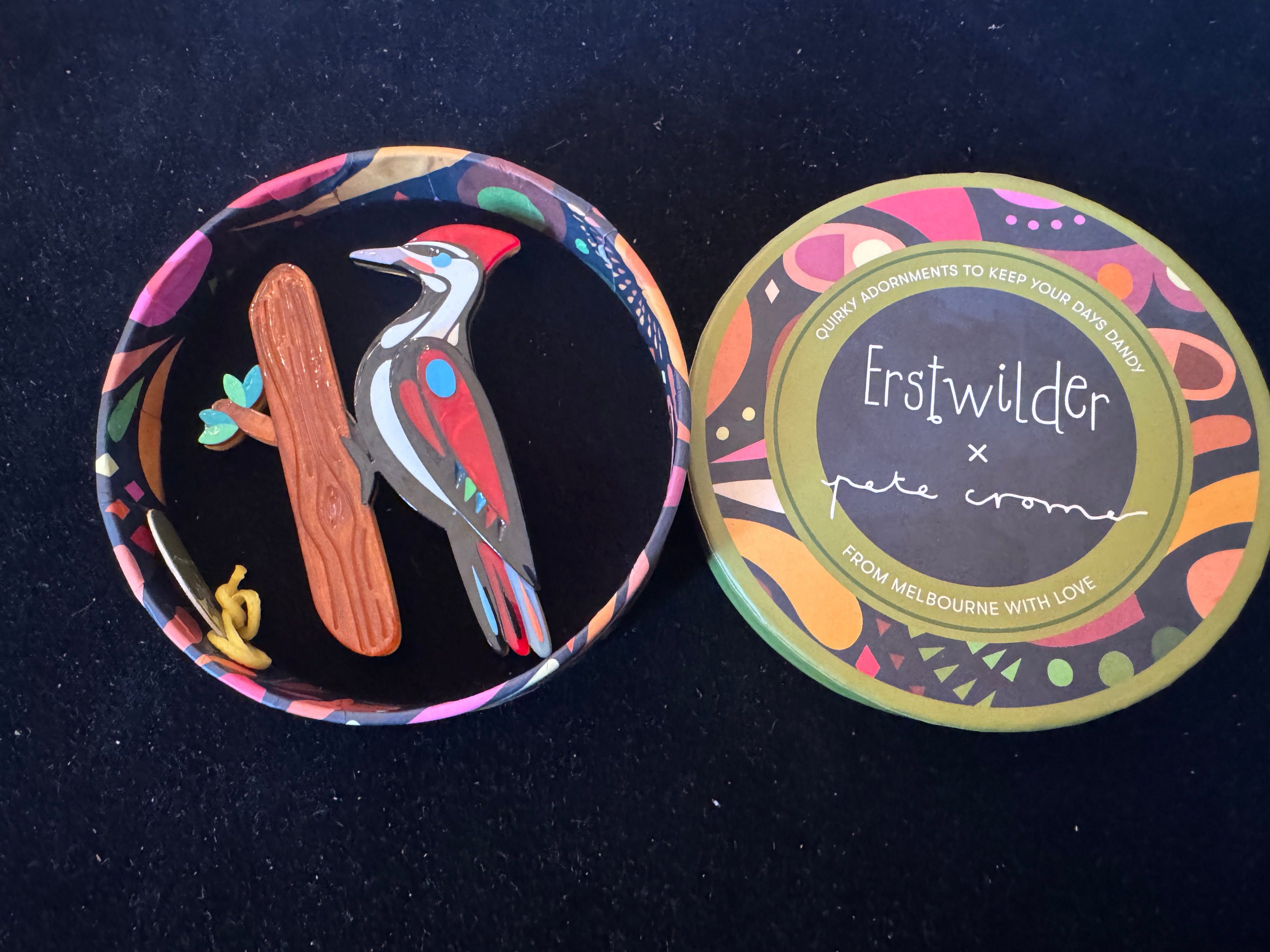 ERSTWILDER PETE CROMER AMEIRICAN THE PESISTENT PILEATED WOODPECKER - Resin Brooch