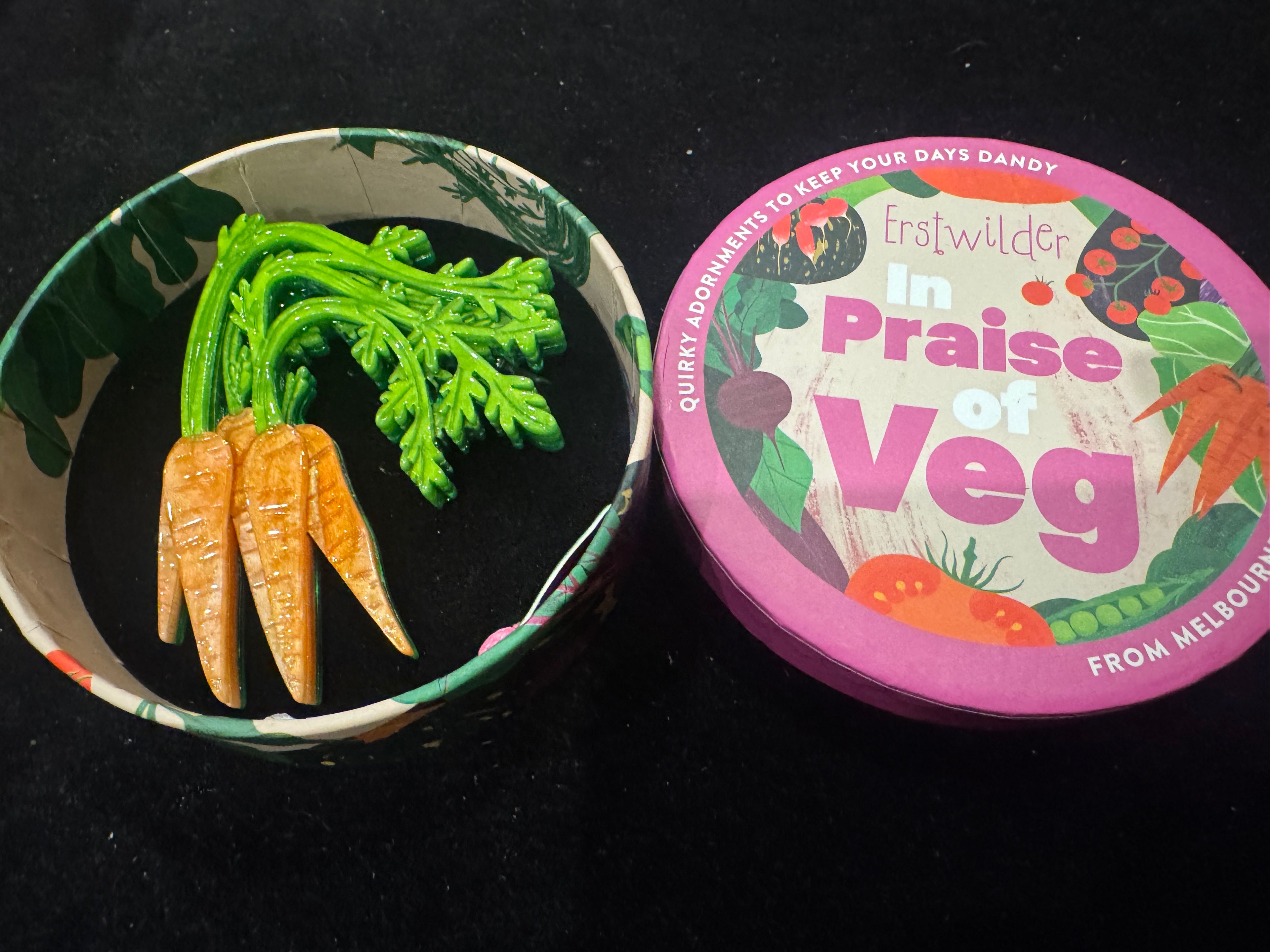 ERSTWILDER IN PRAISE OF VEG COLLECTION CARROT TOPPERS - Resin Brooch