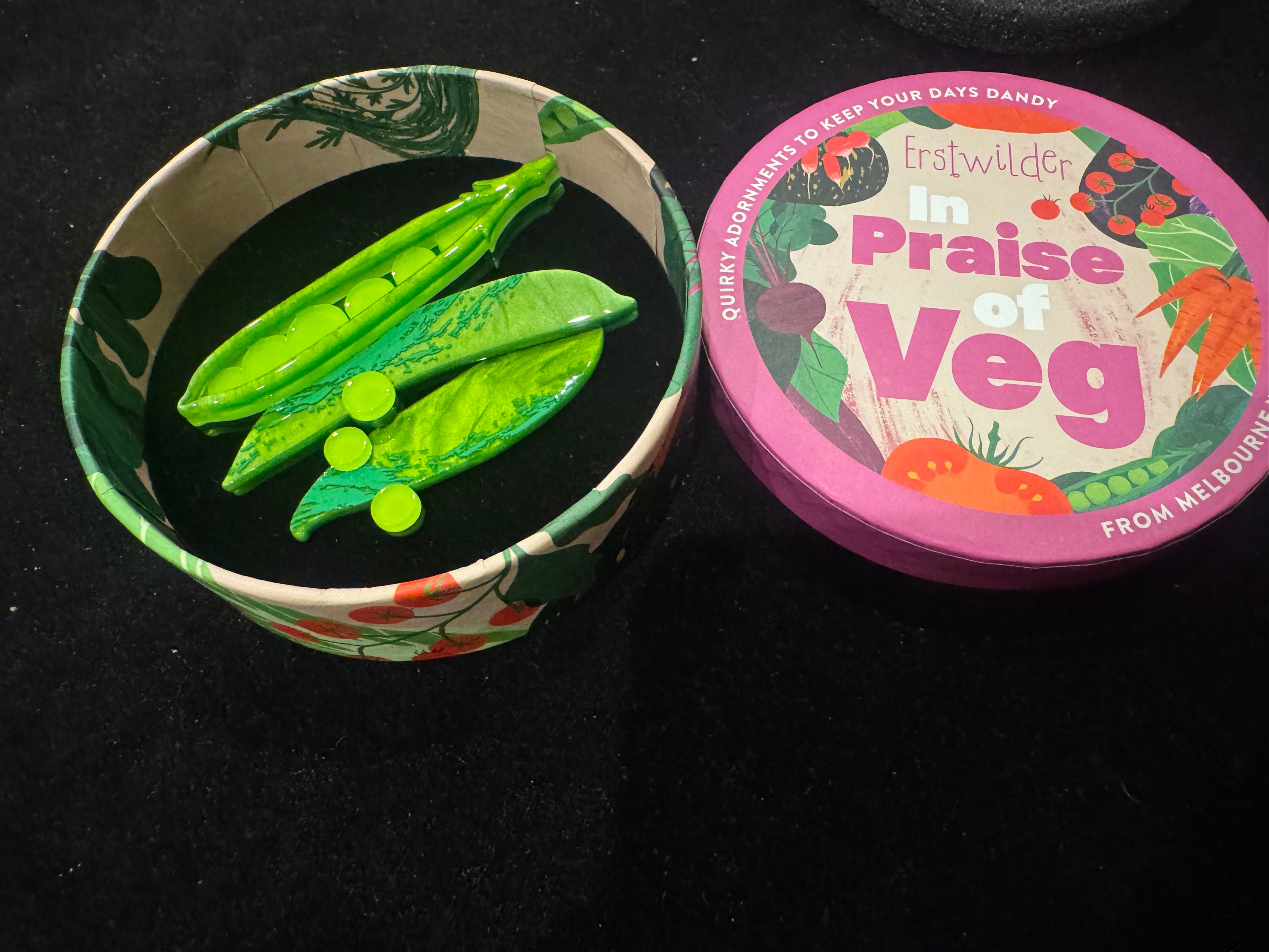 ERSTWILDER IN PRAISE OF VEG PEAS PLEASE - Resin Brooch