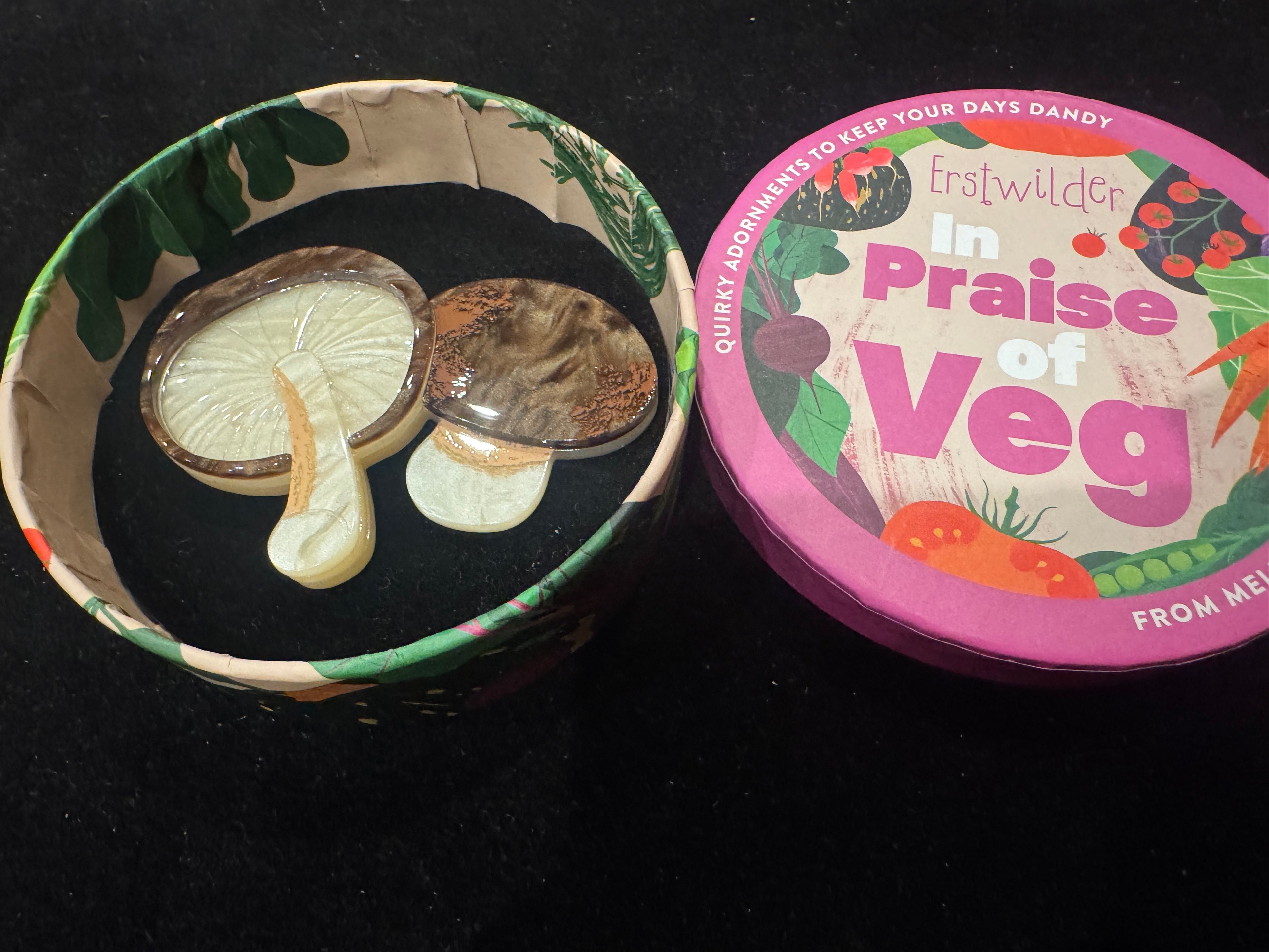 ERSTWILDER IN PRAISE OF VEG COLLECTION MIGHTY MUSHIE - Resin Brooch