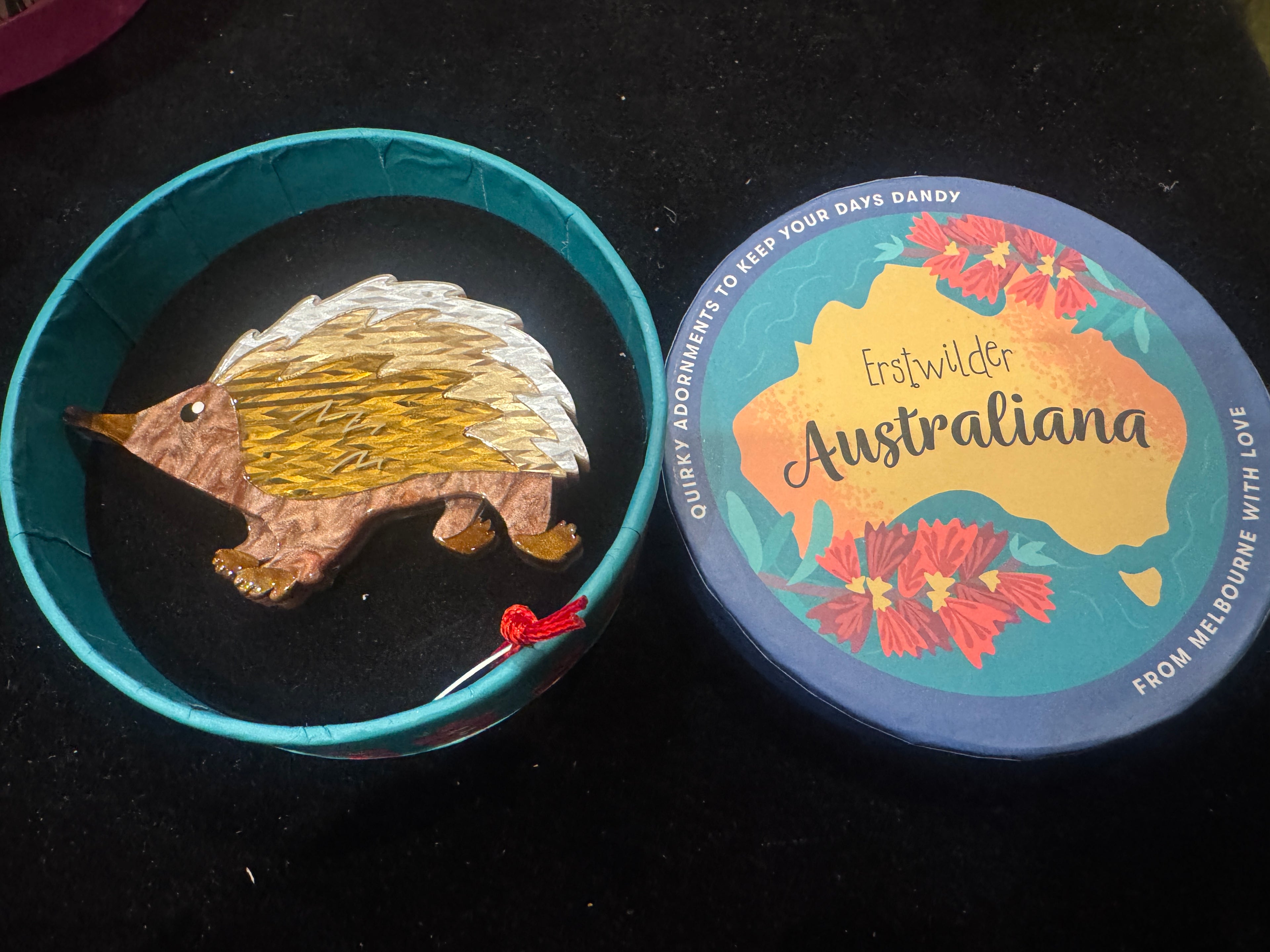 ERSTWILDER AUSTRALIANA COLLECTION PRICKLES THE ECHIDNA - Resin Brooch