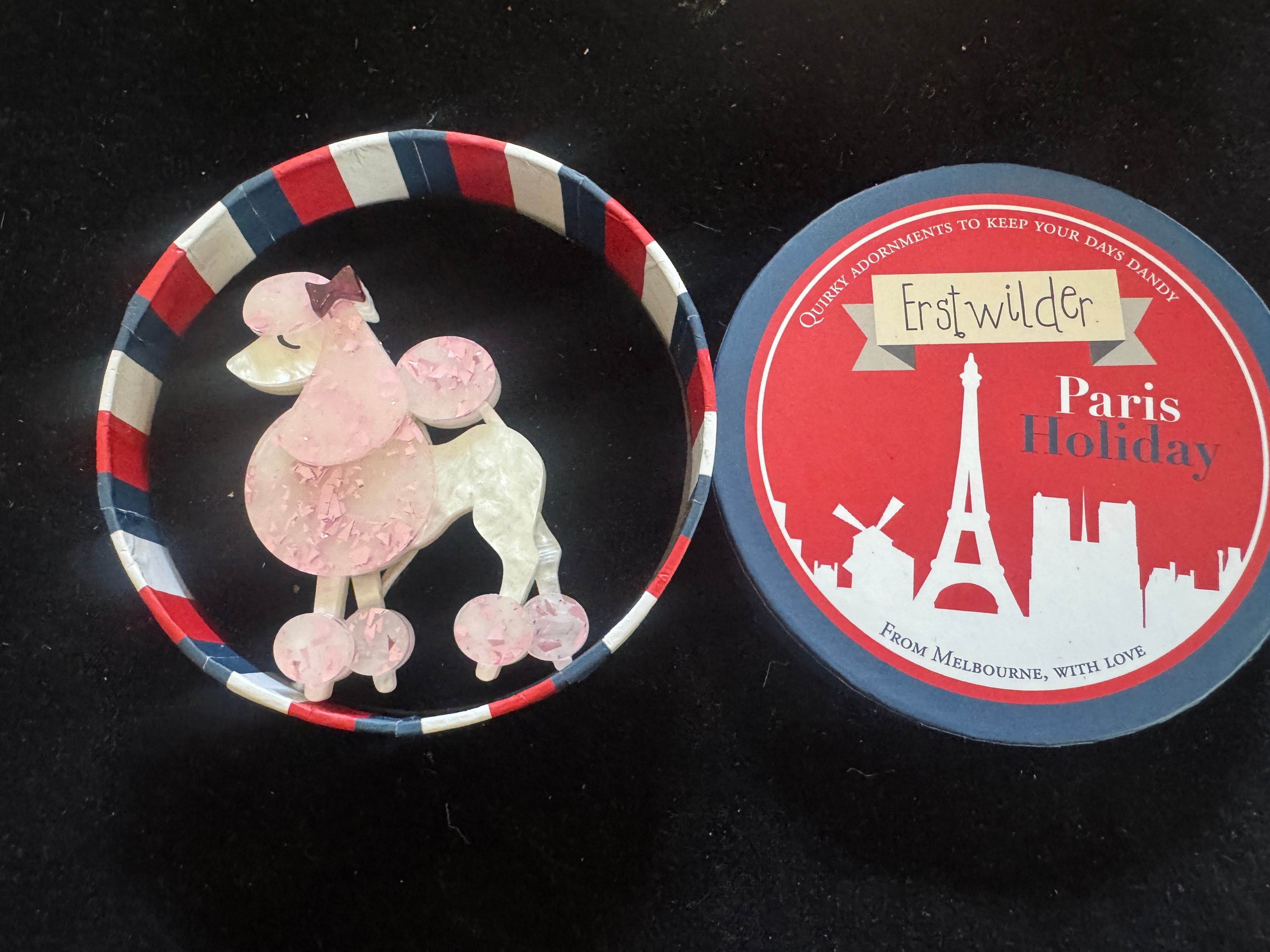 ERSTWILDER PARIS HOLIDAY- MADAME CANICHE- RESIN BROOCH